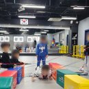 세종 고운 태권도 이미지
