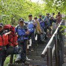 비둘기한국@ 이미지
