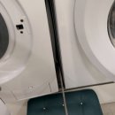 그리마 | 그리마 퇴치 돈벌레 나타나는 원인과 해결 후기