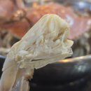 내차병원 이미지