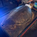 완산어-32 | 전주 다가양조장 : 또간집에 나온 전주 맛집 (주말 웨이팅 후기)
