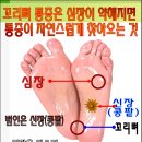 꼬리뼈를 두드리니 자궁 방광 갑상선 심장까지 좋아져~~ 이미지