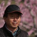 복숭아식당 Daum카페