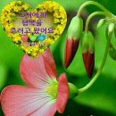 날마다 봄 이미지