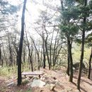 한반도부동산중개 이미지