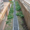 고리울청소년문화의집 이미지