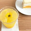 커스티(custty) 이미지