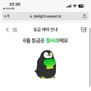 샐러두잇 이미지