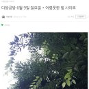 두시카페공방 이미지