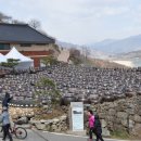 화개농원