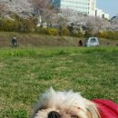 신남