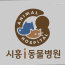 시흥i동물병원