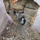 신백로 | 제천 누수 해결. 신백로 누수되는 욕실 변기 수도라인 보수해 드렸어요!!!