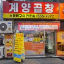 레드몰1차 이미지