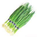 골파- 차이브(chives) 이미지