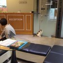 노엘동물병원 이미지