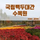 무지개정원 - 중구 성안로 242 | 무지개정원