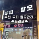 소향로 | 부천탈모 부천두피 관리 트리모 정수리 얇은 모발 케어 후기