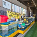 대복수산 이미지