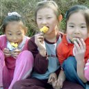 서해안 농장 이미지