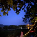 드들강물고기집 이미지