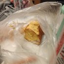 신안 김밥나라 앞 이미지