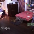 라벤더민박 이미지