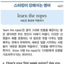 learn the ropes (새로운 환경에 적응하다) 이미지