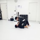 에이스브라운클럽 네이버블로그