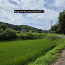 아르보르펜션 이미지