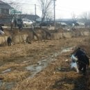 대대3리 이미지