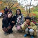 카라헤어염색