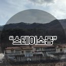 괴산펜션2 | 괴산 애견펜션 스테이소몽 후기 (재방문의사 100%)