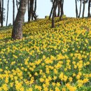 제430회 24'03.23~24 신안군 선도 무박 섬산행을 안내 합니다. 이미지