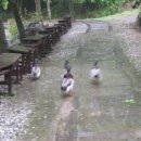 도둑과시인 이미지