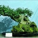 하늘재농원 이미지