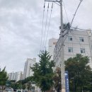 솔샘문화정보도서관 이미지