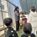 진주농원 | 진주근교:창원아이랑 가기좋은 다감농원에서 딸기체험하고왔어요