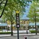 로얄회관 | [광화문] 세종문화회관 근처 불백 맛집 회식장소 추천 영월사랑방식당 평일 저녁 솔직 후기