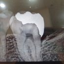 아트앤치과의원 이미지