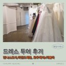 세븐케이 | [W19.] 드레스투어 후기 │안나스포사,마틴드세븐,로우케이X더뷸라│