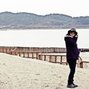바다와소나무 이미지