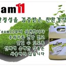 팀일레븐 이미지