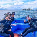 스낵영어_제대로 발음하는 영어: 제.발.영 | 세부 체험다이빙 스쿠버 + 호핑투어 동시에 가능