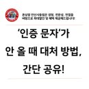 안올상점
