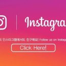 파파야레스토랑 이미지