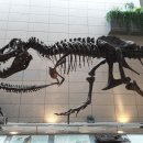 지질자원연구원 지질박물관 이미지