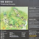 닮아가다 | [여주] 세종대왕(英陵)과 효종대왕(寧陵)이 나란히 잠들어 있는 왕릉을 보고 왕의 숲길을 걷다