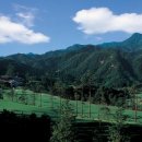 크리스탈 골프클럽 이미지