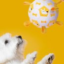 주니버스 이미지